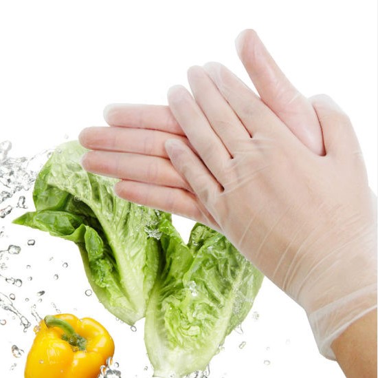 Vinyl Gloves - Clear Powder Free - Size X Large - Pack of 100